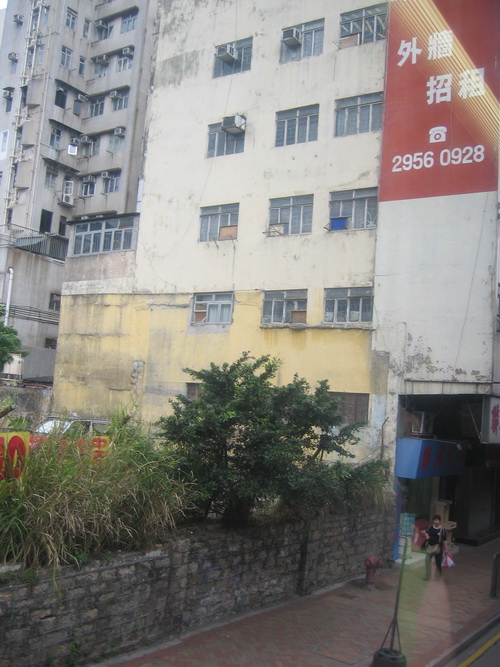73.jpg