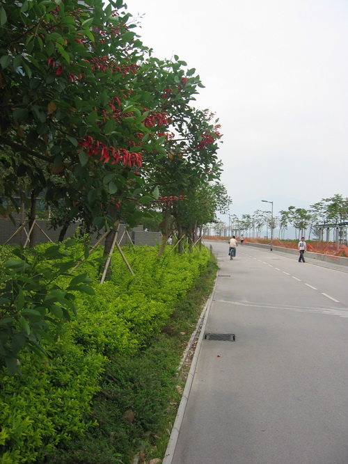 81.jpg