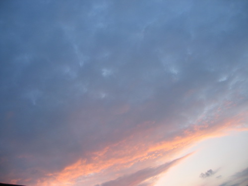 img_1035_e8aabfe695b4e5a4a7e5b08f.jpg