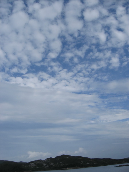 img_1234_e8aabfe695b4e5a4a7e5b08f.jpg