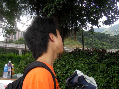 sany0003_e8aabfe695b4e5a4a7e5b08f.jpg