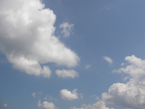 sany0009_e8aabfe695b4e5a4a7e5b08f.jpg