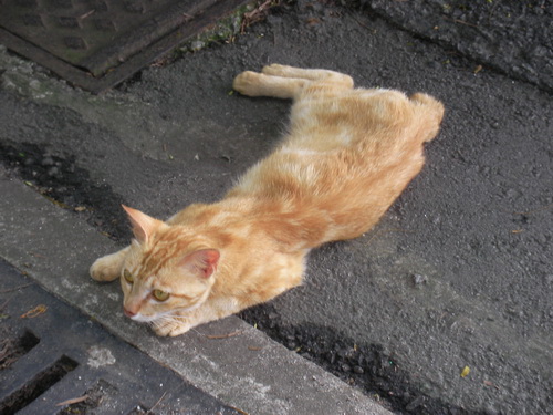 sany0022_e8aabfe695b4e5a4a7e5b08f.jpg