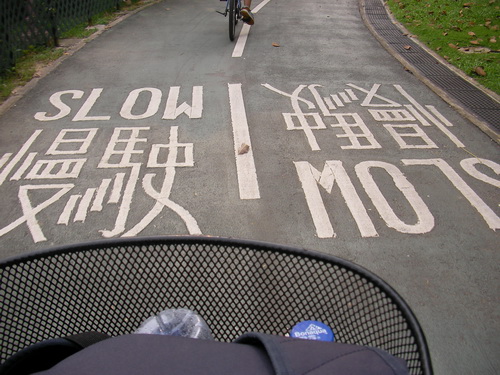 sany0057_e8aabfe695b4e5a4a7e5b08f.jpg