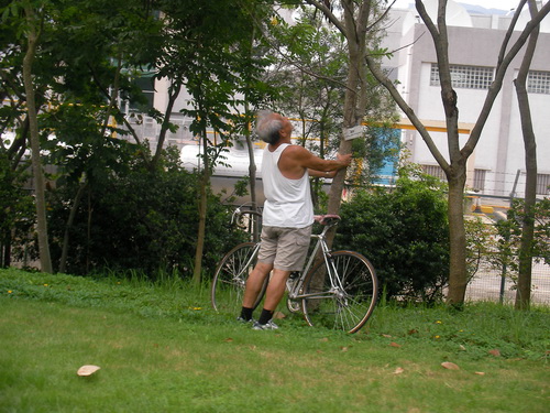 sany0058_e8aabfe695b4e5a4a7e5b08f.jpg