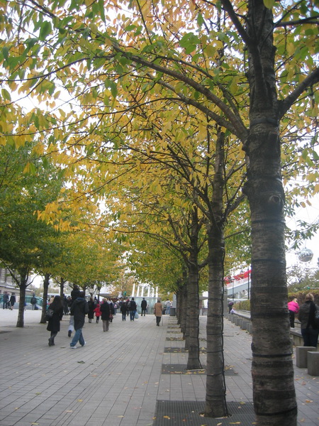 img_3814_resize.jpg