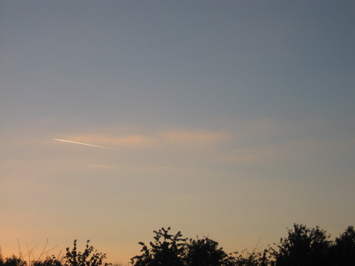 img_9665_resize.jpg