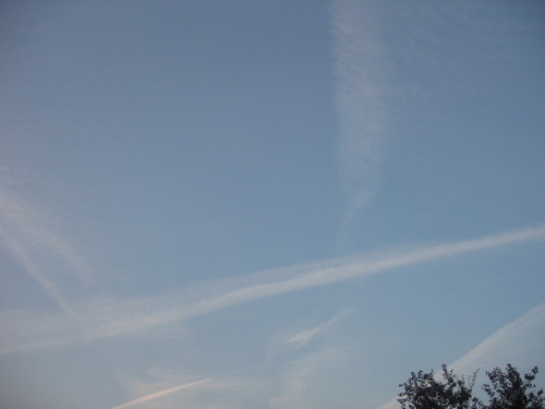 photo_359_resize.jpg