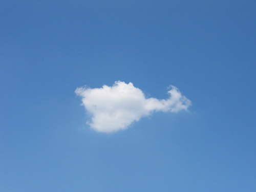 photo_407_resize.jpg