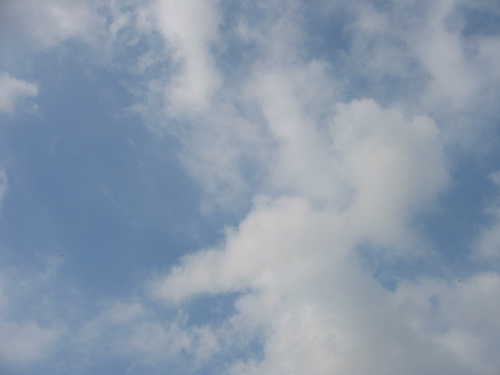photo_466_resize.jpg