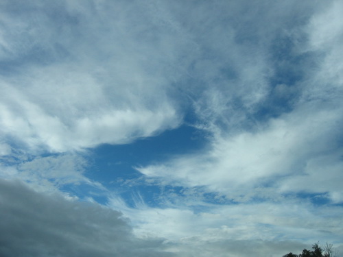 photo_97_resize.jpg