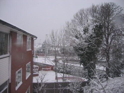 img_4281_resize.jpg