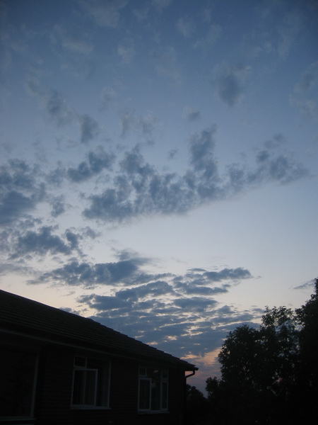 IMG_5319.JPG